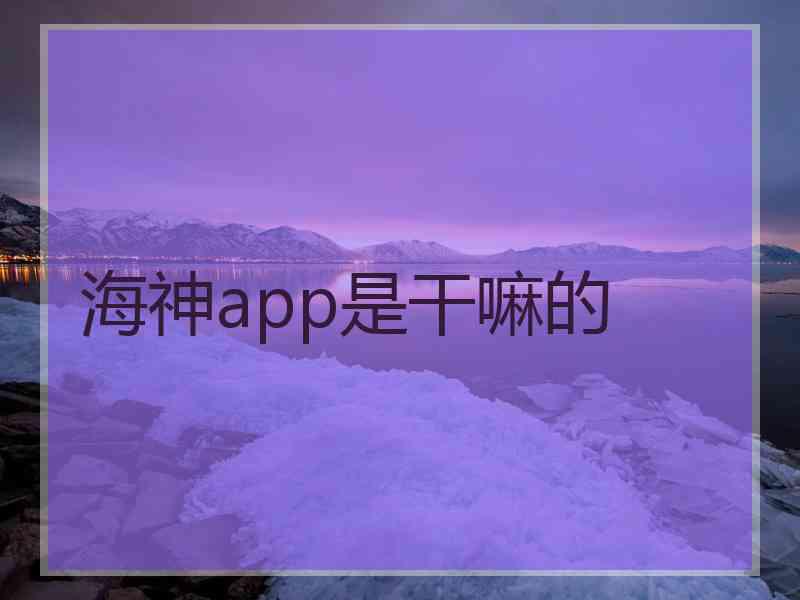 海神app是干嘛的