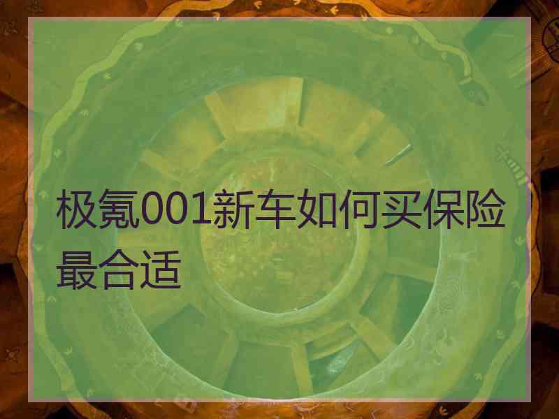 极氪001新车如何买保险最合适