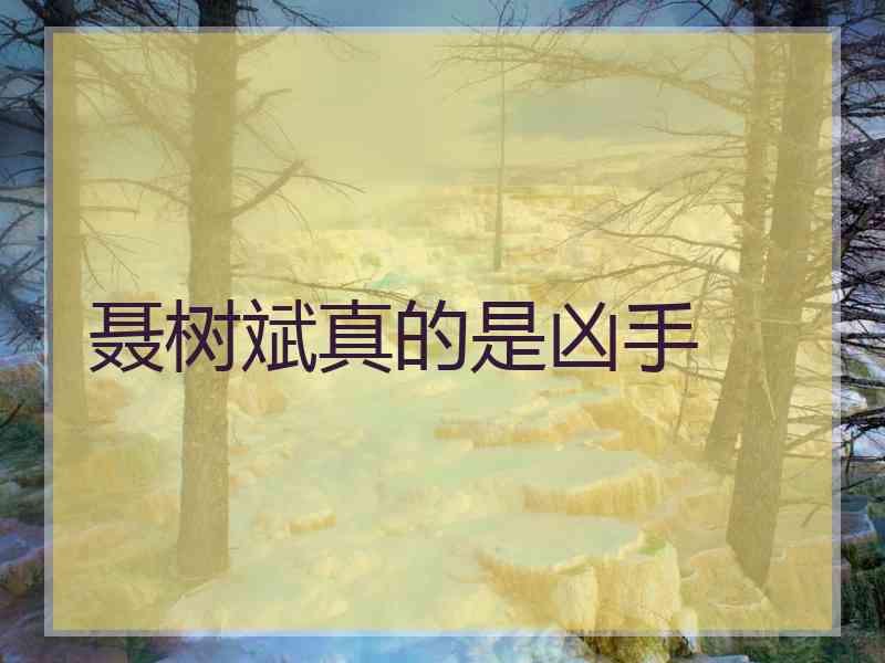 聂树斌真的是凶手