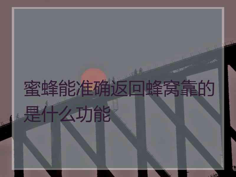 蜜蜂能准确返回蜂窝靠的是什么功能