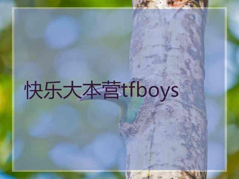 快乐大本营tfboys