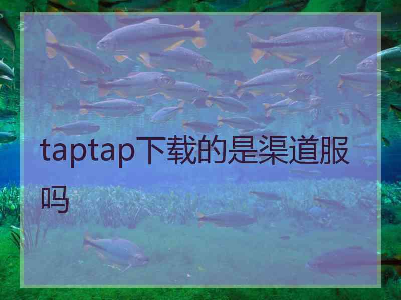 taptap下载的是渠道服吗