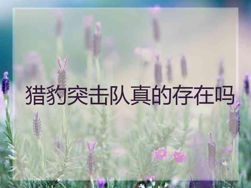 猎豹突击队真的存在吗