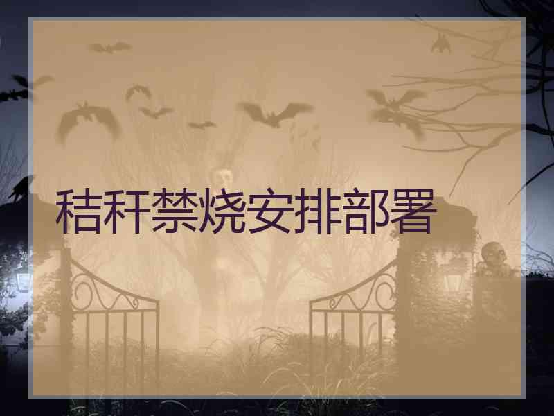 秸秆禁烧安排部署