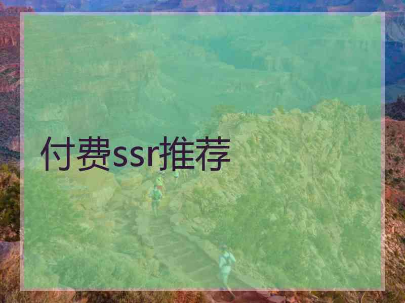 付费ssr推荐