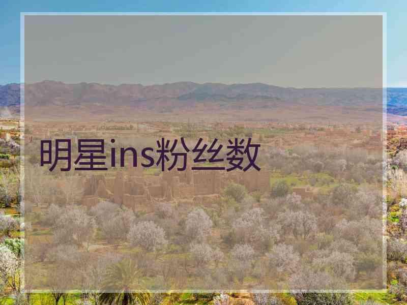 明星ins粉丝数