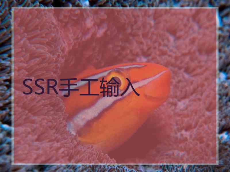 SSR手工输入
