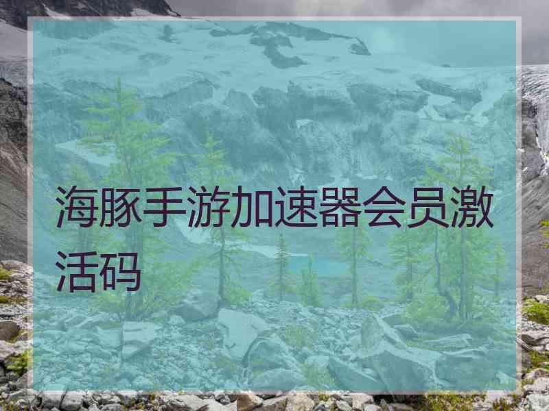 海豚手游加速器会员激活码