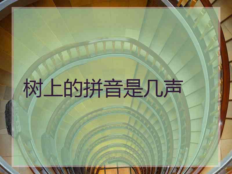 树上的拼音是几声