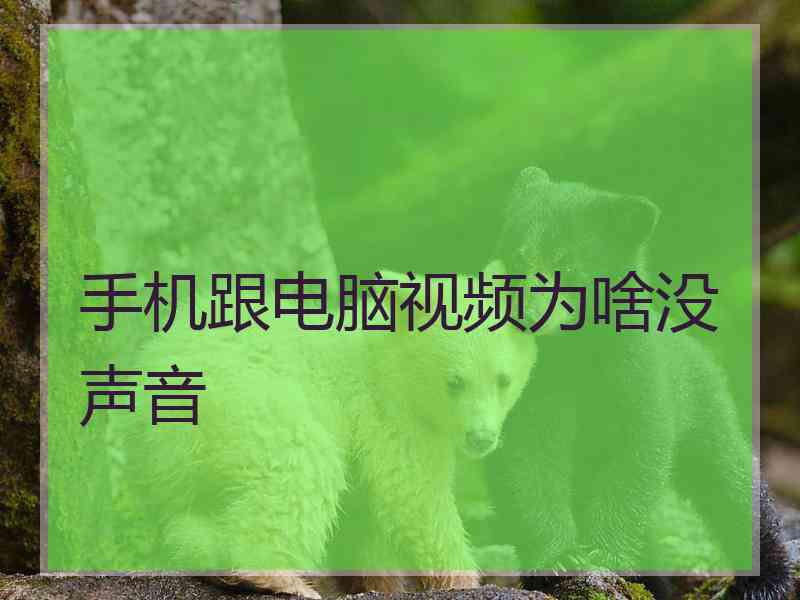 手机跟电脑视频为啥没声音