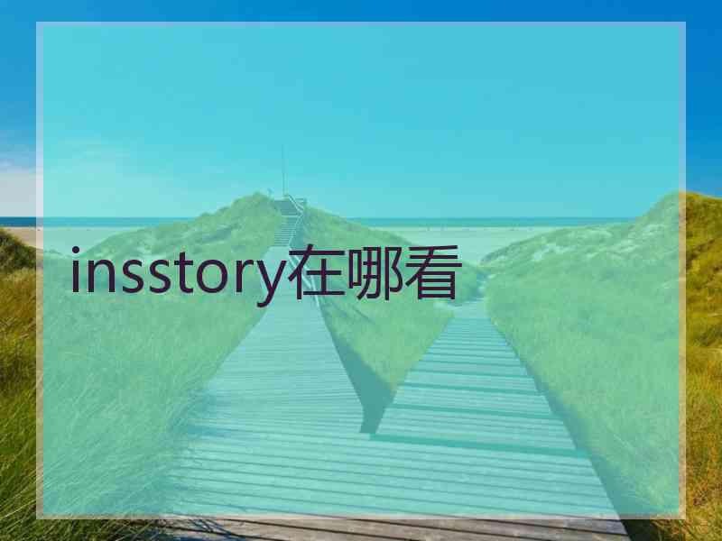 insstory在哪看