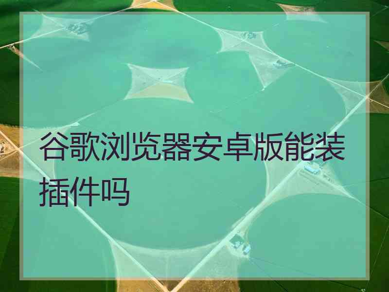谷歌浏览器安卓版能装插件吗