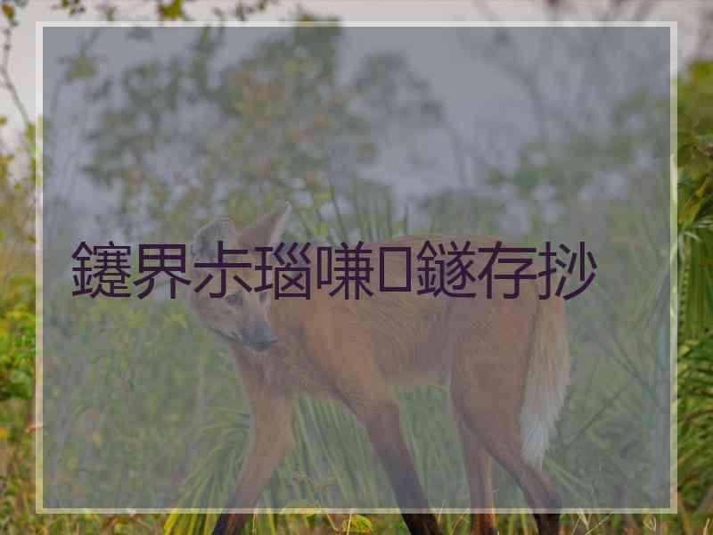 鑳界尗瑙嗛鐩存挱