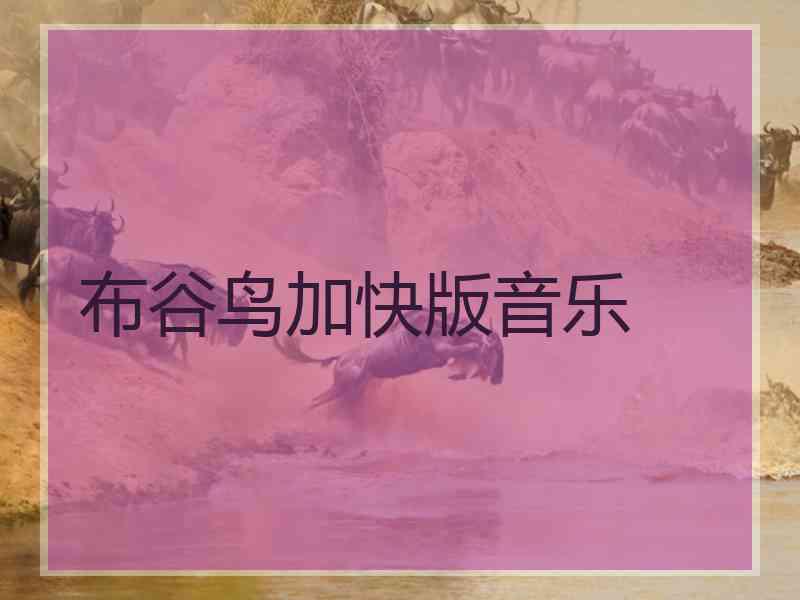 布谷鸟加快版音乐