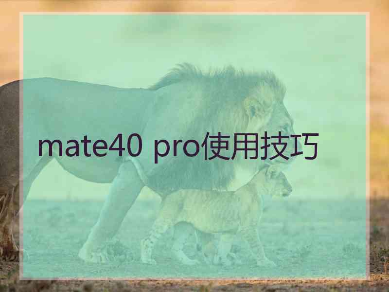 mate40 pro使用技巧
