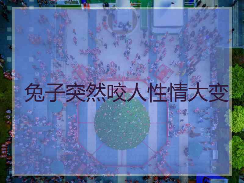 兔子突然咬人性情大变