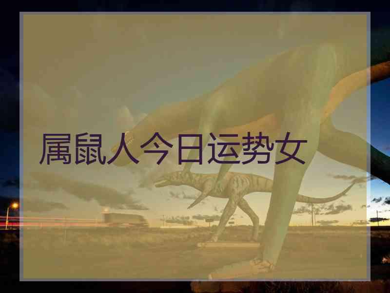 属鼠人今日运势女