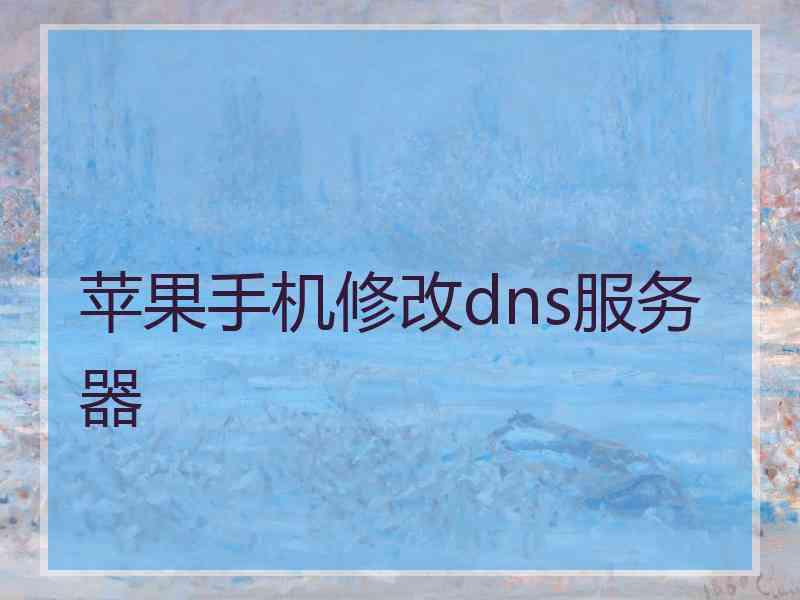 苹果手机修改dns服务器