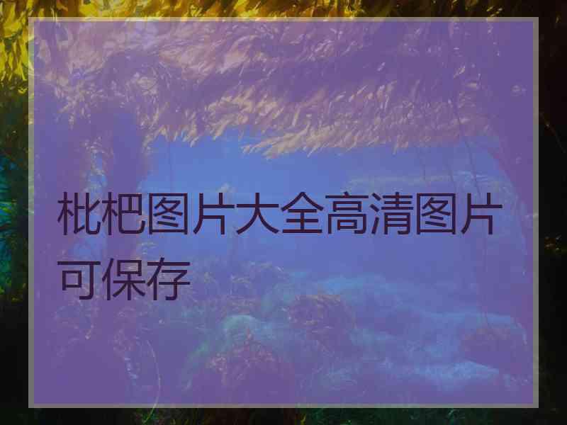 枇杷图片大全高清图片可保存