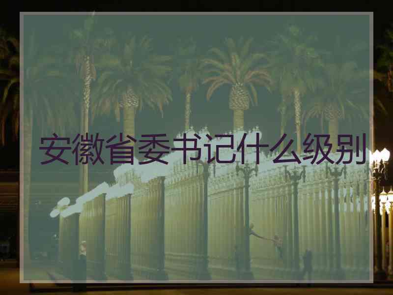 安徽省委书记什么级别