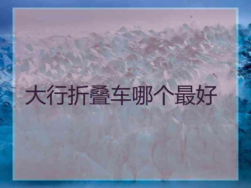 大行折叠车哪个最好