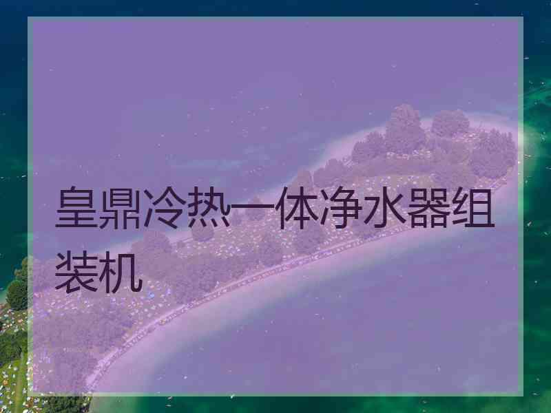 皇鼎冷热一体净水器组装机