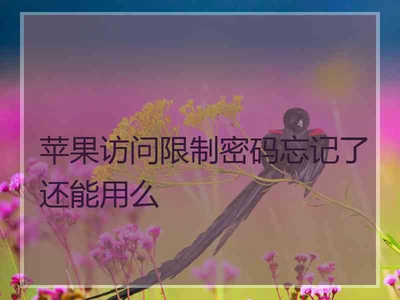 苹果访问限制密码忘记了还能用么