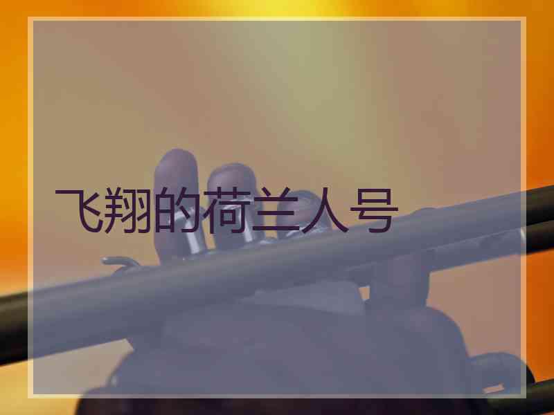 飞翔的荷兰人号