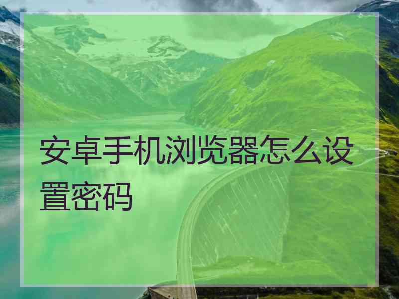 安卓手机浏览器怎么设置密码