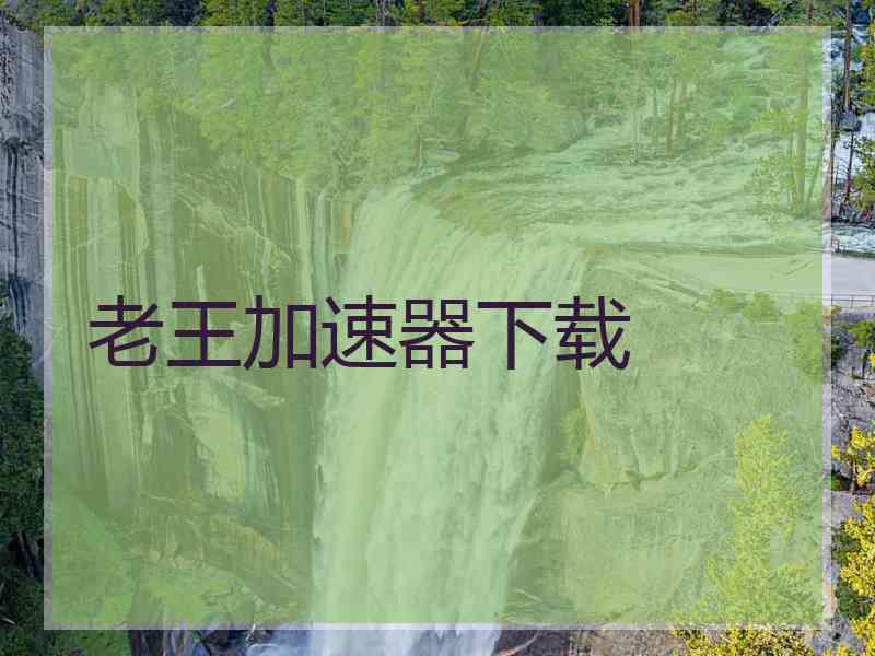 老王加速器下载