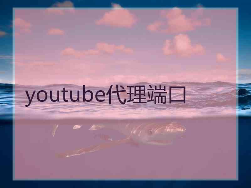 youtube代理端口