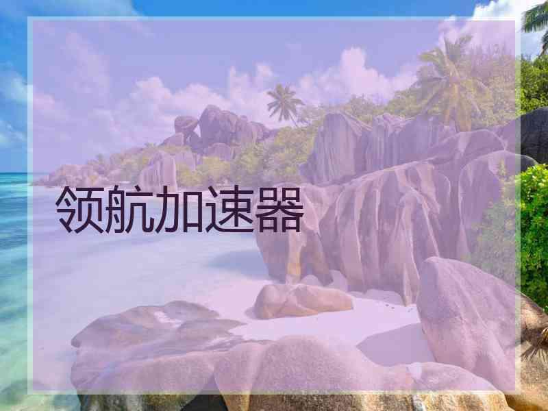 领航加速器