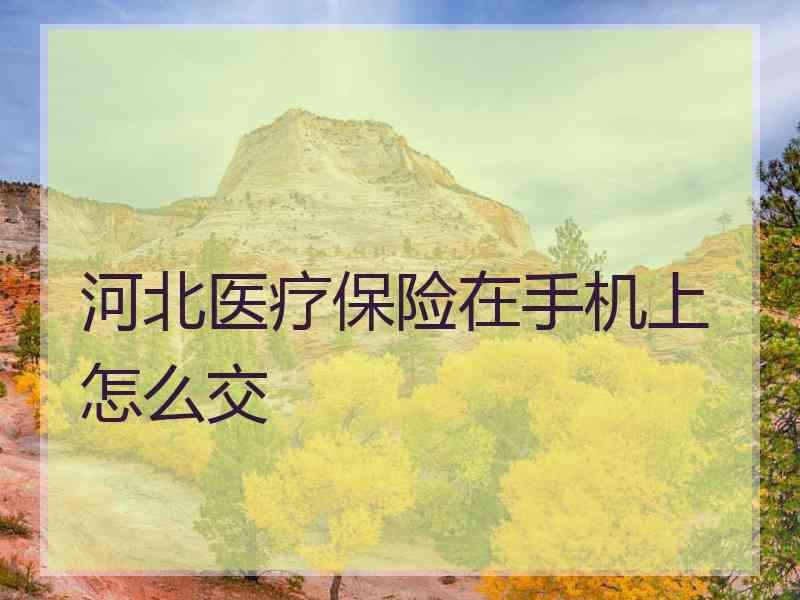 河北医疗保险在手机上怎么交