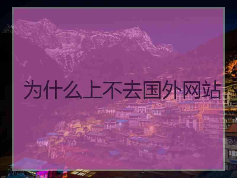 为什么上不去国外网站