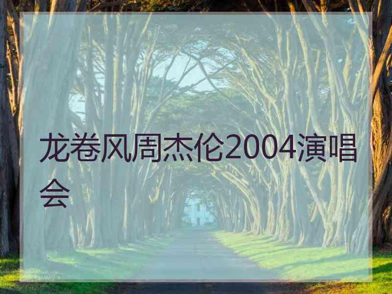 龙卷风周杰伦2004演唱会