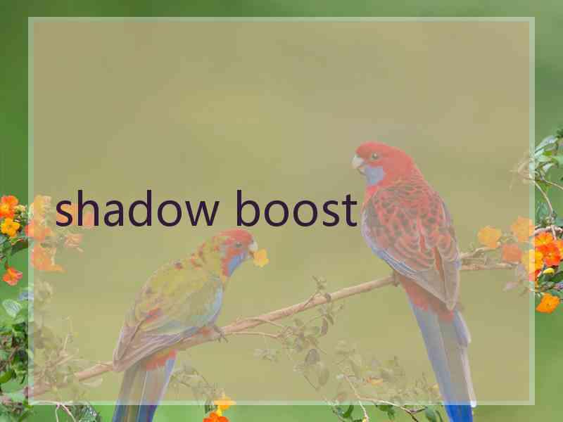 shadow boost
