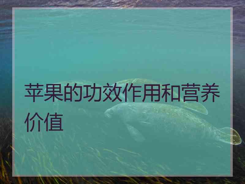 苹果的功效作用和营养价值