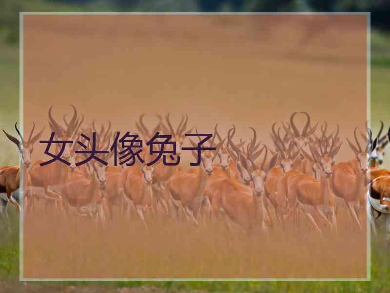 女头像兔子