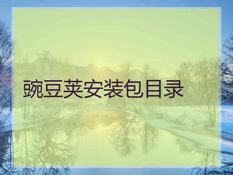 豌豆荚安装包目录