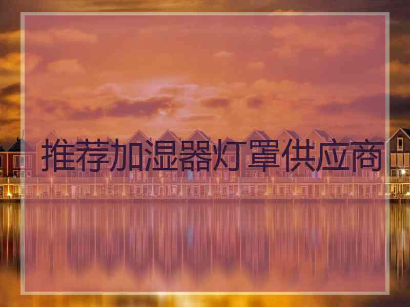 推荐加湿器灯罩供应商