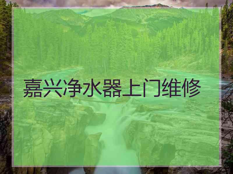 嘉兴净水器上门维修