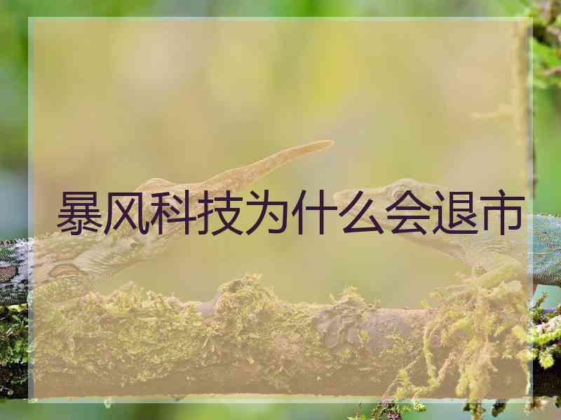 暴风科技为什么会退市
