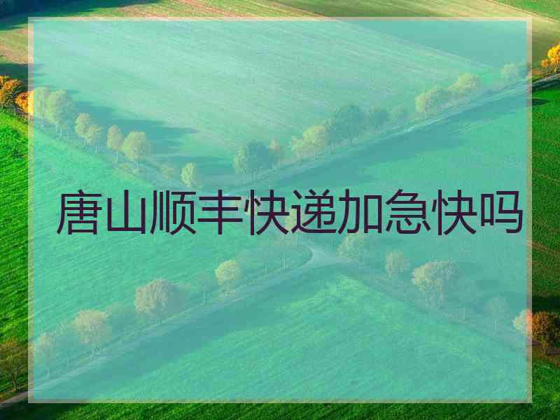 唐山顺丰快递加急快吗