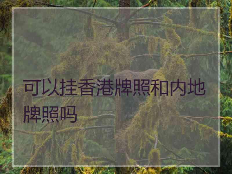 可以挂香港牌照和内地牌照吗
