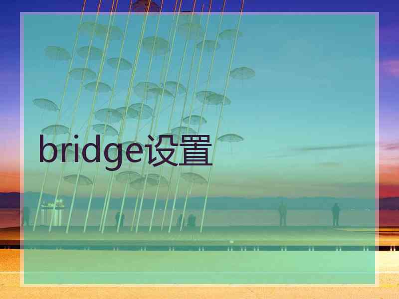 bridge设置