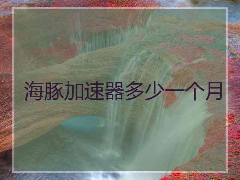 海豚加速器多少一个月