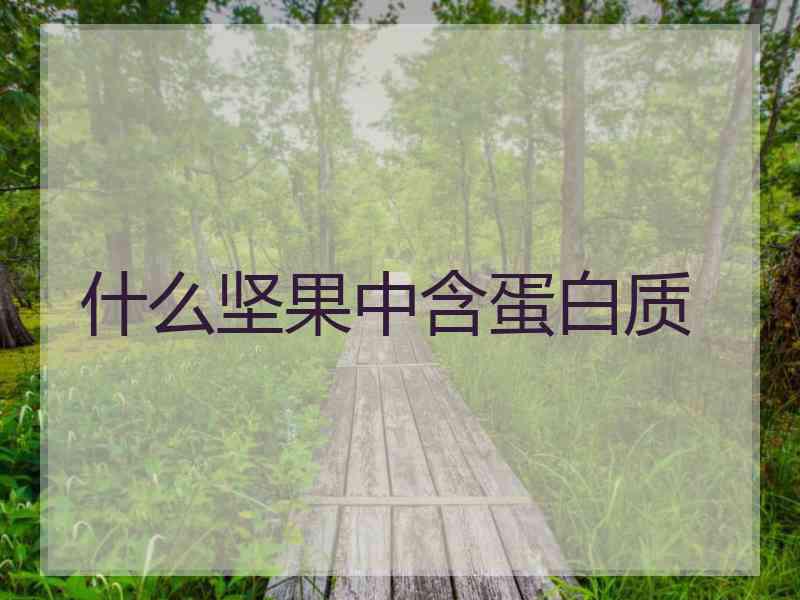 什么坚果中含蛋白质
