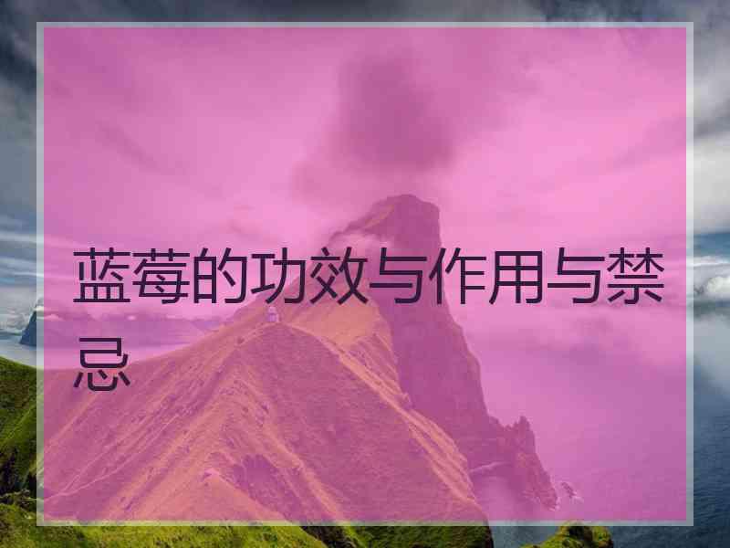蓝莓的功效与作用与禁忌