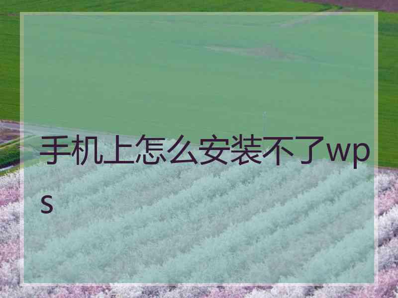 手机上怎么安装不了wps