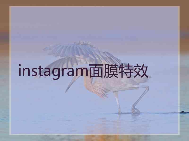 instagram面膜特效
